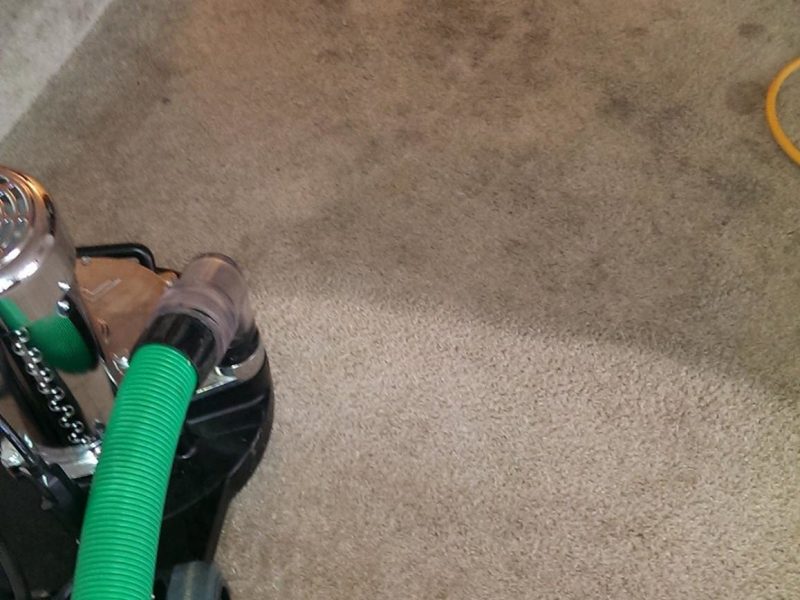 Carpet Cleaning
